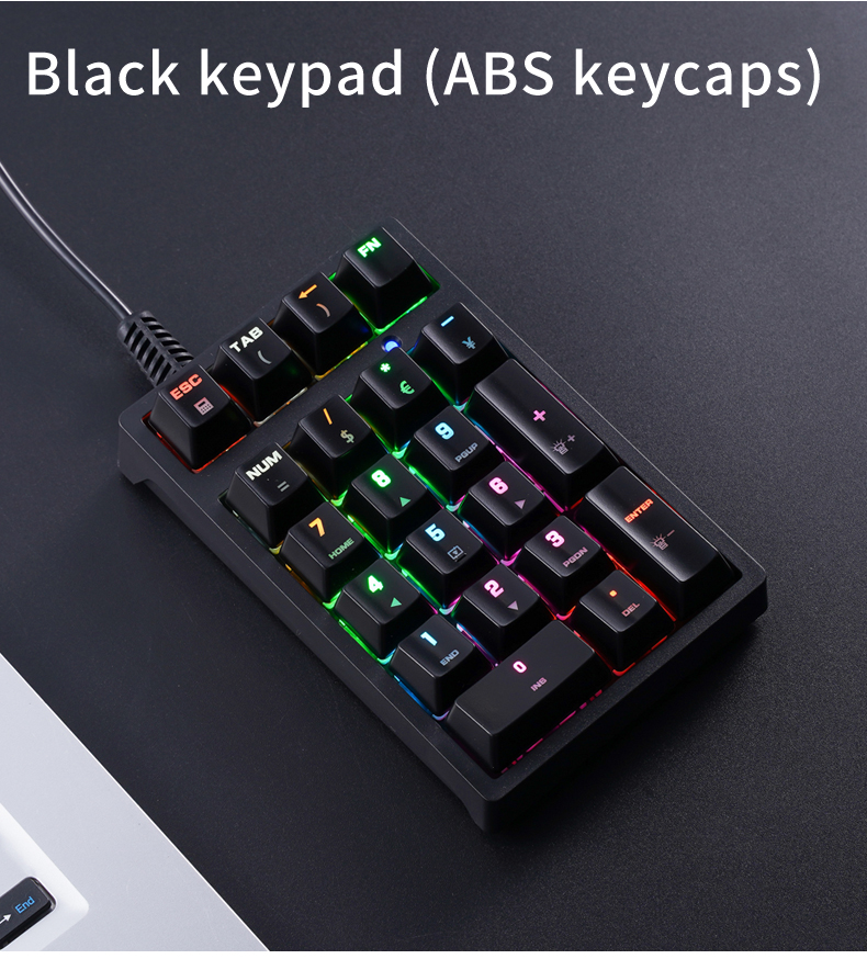 T21 APAYADO 有線テンキー ブルースイッチ PBT - Keyboard Numpad Separate のレビューと価格